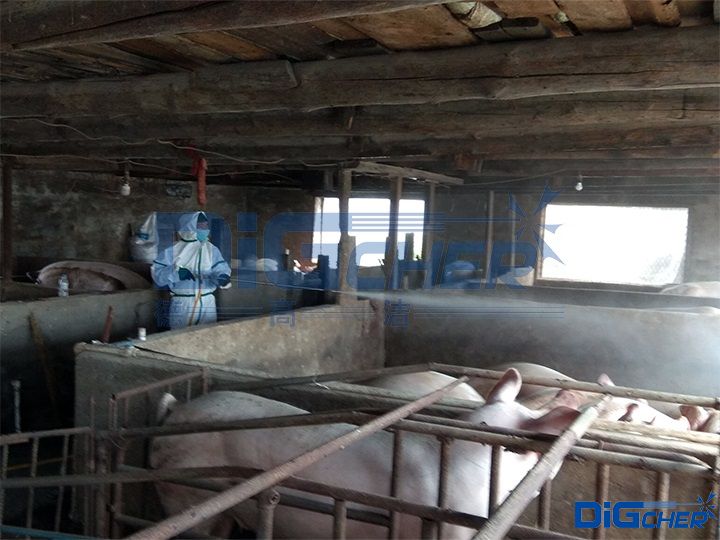 養(yǎng)殖場(chǎng)豬舍高壓水清洗